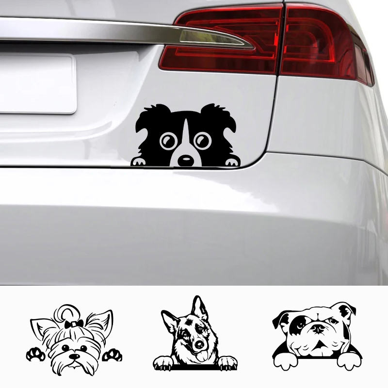 Autos Zubehör Aufkleber Lustig – Laptop Accessories Name Bewertung und Preis